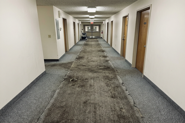 Before Cleaning